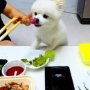 낼름족발 이미지
