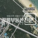 경포대공인중개사사무소 이미지