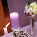 제이가든 이미지