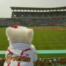 도그의 하루 이미지