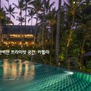 유니크투어 티스토리