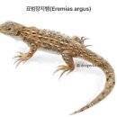 솔모랫길 이미지