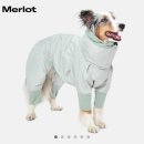 [Merlot/멀로] 다리 짧은 강아지의 올인원 우비 후기