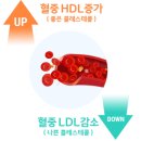 차전자피환 효능 부작용 없는 대장사랑 오리지널 섭취 솔직후기