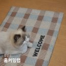 혜성바이오 | 부산 광안리 소품샵 홈커밍랩 제로웨이스트 신상 편집샵 겸 카페