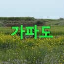 청보리밭 싱그러운 가파도에서 1박 2일 이미지