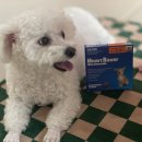 주식회사 하트세이버 이미지