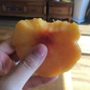 동그랑전