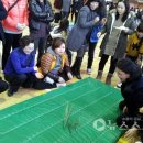 명천초등학교 이미지