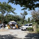 전원일기마을 오토 캠핑장 이미지