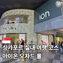 아이온시티 2층약국 | 싱가포르 실내 가볼 만한 곳을 찾는다면 아이온 오차드 몰 놓치면 후회할걸요