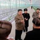 실상농장 이미지