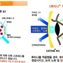 루약국 이미지