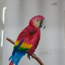 파스텔아트 미술교습소 이미지