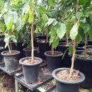 희정농장 이미지