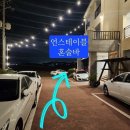 게스트하우스 산 | 제주 서귀포 산방산 게스트하우스파티 스테이블 방문후기