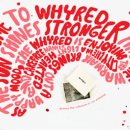 와이제이오 이미지