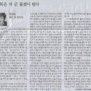 무지개비어