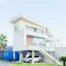 제주코롱코롱 이미지