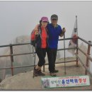 샤브작샤브작 이미지