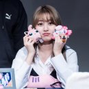 푸린이네 이미지