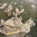 태인한의원 이미지