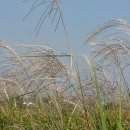 구월산방