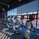 레드짐 피트니스 이미지