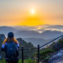 아침풍경 Daum카페