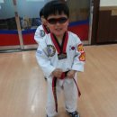 아름드리 태권도 이미지