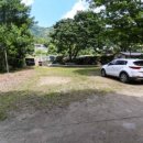 단양마늘흑염소 이미지