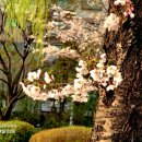 사진반(스마트폰) 이미지