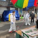 마산회원구 ⓒ-19 이미지