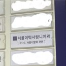 우주약국 | 𖤐 우주최강 쫄보가 한 번에 사랑니 2개 뽑은 후기 𖤐 ( with 서울이턱치과 )