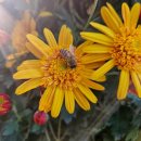 혜윰한의원 이미지