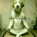 하루비 - 송파구 마천로41길 1 | 하루비