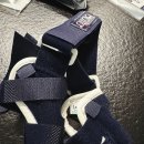 발토(BALTO) | 강아지 슬개골보호대 발토 점펫 슬개골보호대 구매후기 (내돈내산)