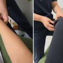 바른머리연구소