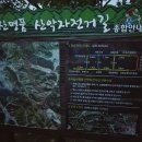 인생 여행지, 대구 달성군 가창면 상원산, 팔조령 라이딩 후기 !!