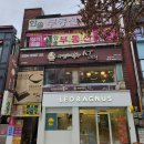 레오앤아그너스 이미지