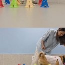 고목로1 이미지