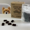 신진덴탈 | 포켄스 뉴트리션 트릿 면역&amp;영양 급여후기, 기호성 좋은 강아지 간식 추천