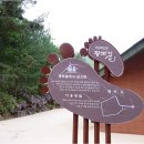 다리안 황토길 이미지