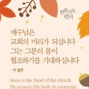 한몸 이미지