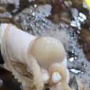 대일수산