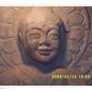 바라밀정사 Daum카페