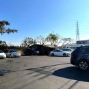 옛날보리밥 이미지