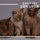 송도 클로버동물병원 이미지