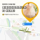 펫코디디자인연구소