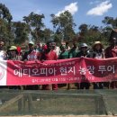 현지농장 이미지